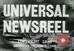 Immagine di Horse named Pompoon New York United States USA, 1936, secondo 17 filmato di repertorio 65675022412