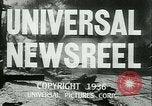 Immagine di Horse named Pompoon New York United States USA, 1936, secondo 18 filmato di repertorio 65675022412