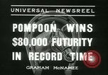 Immagine di Horse named Pompoon New York United States USA, 1936, secondo 34 filmato di repertorio 65675022412
