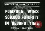 Immagine di Horse named Pompoon New York United States USA, 1936, secondo 36 filmato di repertorio 65675022412