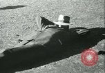 Immagine di Horse named Pompoon New York United States USA, 1936, secondo 43 filmato di repertorio 65675022412