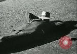 Immagine di Horse named Pompoon New York United States USA, 1936, secondo 45 filmato di repertorio 65675022412