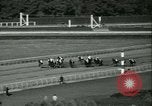 Immagine di Horse named Pompoon New York United States USA, 1936, secondo 49 filmato di repertorio 65675022412