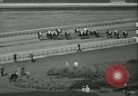 Immagine di Horse named Pompoon New York United States USA, 1936, secondo 50 filmato di repertorio 65675022412