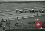 Immagine di Horse named Pompoon New York United States USA, 1936, secondo 51 filmato di repertorio 65675022412