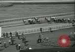 Immagine di Horse named Pompoon New York United States USA, 1936, secondo 52 filmato di repertorio 65675022412