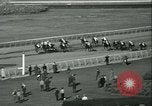 Immagine di Horse named Pompoon New York United States USA, 1936, secondo 53 filmato di repertorio 65675022412