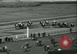 Immagine di Horse named Pompoon New York United States USA, 1936, secondo 54 filmato di repertorio 65675022412