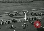 Immagine di Horse named Pompoon New York United States USA, 1936, secondo 55 filmato di repertorio 65675022412
