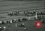 Immagine di Horse named Pompoon New York United States USA, 1936, secondo 56 filmato di repertorio 65675022412