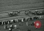 Immagine di Horse named Pompoon New York United States USA, 1936, secondo 57 filmato di repertorio 65675022412