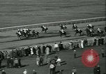 Immagine di Horse named Pompoon New York United States USA, 1936, secondo 58 filmato di repertorio 65675022412