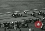 Immagine di Horse named Pompoon New York United States USA, 1936, secondo 59 filmato di repertorio 65675022412
