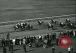 Immagine di Horse named Pompoon New York United States USA, 1936, secondo 60 filmato di repertorio 65675022412