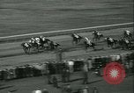 Immagine di Horse named Pompoon New York United States USA, 1936, secondo 61 filmato di repertorio 65675022412