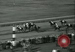 Immagine di Horse named Pompoon New York United States USA, 1936, secondo 62 filmato di repertorio 65675022412