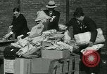 Immagine di La polizia di Chicago Chicago Illinois USA, 1936, secondo 12 filmato di repertorio 65675022414