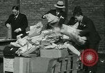 Immagine di La polizia di Chicago Chicago Illinois USA, 1936, secondo 13 filmato di repertorio 65675022414