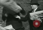 Immagine di La polizia di Chicago Chicago Illinois USA, 1936, secondo 16 filmato di repertorio 65675022414