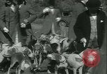 Standbild Segen der Hounds öffnet fallen Fox Hunt Lexington Kentucky USA, 1934, aus Sekunde 19 historischem Filmmaterial Videoclip 65675022434