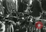Standbild Segen der Hounds öffnet fallen Fox Hunt Lexington Kentucky USA, 1934, aus Sekunde 28 historischem Filmmaterial Videoclip 65675022434