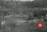 Standbild Segen der Hounds öffnet fallen Fox Hunt Lexington Kentucky USA, 1934, aus Sekunde 51 historischem Filmmaterial Videoclip 65675022434