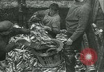 Standbild Hering und Bloater Fische Vereinigtes Königreich, 1934, aus Sekunde 5 historischem Filmmaterial Videoclip 65675022441