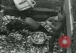 Standbild Hering und Bloater Fische Vereinigtes Königreich, 1934, aus Sekunde 13 historischem Filmmaterial Videoclip 65675022441