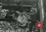 Standbild Hering und Bloater Fische Vereinigtes Königreich, 1934, aus Sekunde 14 historischem Filmmaterial Videoclip 65675022441