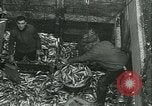 Standbild Hering und Bloater Fische Vereinigtes Königreich, 1934, aus Sekunde 16 historischem Filmmaterial Videoclip 65675022441