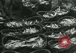 Standbild Hering und Bloater Fische Vereinigtes Königreich, 1934, aus Sekunde 19 historischem Filmmaterial Videoclip 65675022441