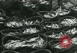 Standbild Hering und Bloater Fische Vereinigtes Königreich, 1934, aus Sekunde 20 historischem Filmmaterial Videoclip 65675022441