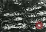 Standbild Hering und Bloater Fische Vereinigtes Königreich, 1934, aus Sekunde 21 historischem Filmmaterial Videoclip 65675022441