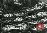 Standbild Hering und Bloater Fische Vereinigtes Königreich, 1934, aus Sekunde 22 historischem Filmmaterial Videoclip 65675022441