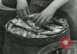 Standbild Hering und Bloater Fische Vereinigtes Königreich, 1934, aus Sekunde 36 historischem Filmmaterial Videoclip 65675022441