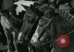 Standbild junge Kinder reiten Pferde Kansas City Missouri USA, 1934, aus Sekunde 19 historischem Filmmaterial Videoclip 65675022443