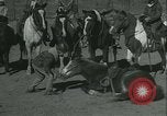 Standbild junge Kinder reiten Pferde Kansas City Missouri USA, 1934, aus Sekunde 36 historischem Filmmaterial Videoclip 65675022443