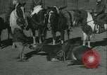 Standbild junge Kinder reiten Pferde Kansas City Missouri USA, 1934, aus Sekunde 38 historischem Filmmaterial Videoclip 65675022443