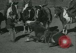 Standbild junge Kinder reiten Pferde Kansas City Missouri USA, 1934, aus Sekunde 39 historischem Filmmaterial Videoclip 65675022443