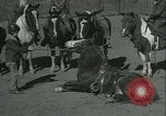 Standbild junge Kinder reiten Pferde Kansas City Missouri USA, 1934, aus Sekunde 40 historischem Filmmaterial Videoclip 65675022443