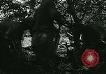 Standbild Überschwemmungen und Cyclone Morrison Colorado USA, 1933, aus Sekunde 51 historischem Filmmaterial Videoclip 65675022445