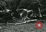 Standbild Überschwemmungen und Cyclone Morrison Colorado USA, 1933, aus Sekunde 54 historischem Filmmaterial Videoclip 65675022445