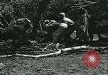 Standbild Überschwemmungen und Cyclone Morrison Colorado USA, 1933, aus Sekunde 57 historischem Filmmaterial Videoclip 65675022445