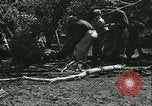 Standbild Überschwemmungen und Cyclone Morrison Colorado USA, 1933, aus Sekunde 61 historischem Filmmaterial Videoclip 65675022445