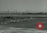 Image of University of Washington Husky crew team versus Yale crew California United States USA, 1933, second 15 stock footage video 65675022448