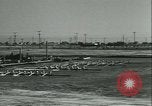 Image of University of Washington Husky crew team versus Yale crew California United States USA, 1933, second 18 stock footage video 65675022448