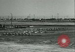 Image of University of Washington Husky crew team versus Yale crew California United States USA, 1933, second 21 stock footage video 65675022448