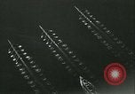 Image of University of Washington Husky crew team versus Yale crew California United States USA, 1933, second 48 stock footage video 65675022448