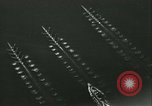 Image of University of Washington Husky crew team versus Yale crew California United States USA, 1933, second 49 stock footage video 65675022448