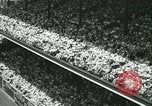 Image of Inaugural baseball All Star Game Chicago Illinois USA, 1933, second 26 stock footage video 65675022449